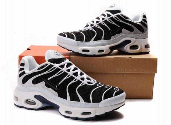 requin tn discount tn requin bleu colore